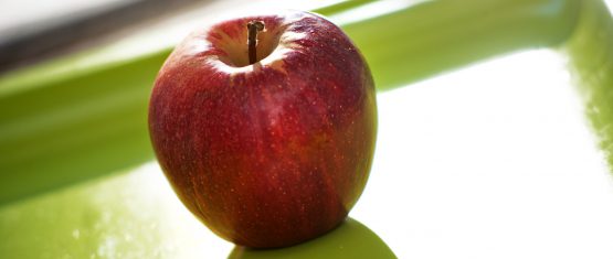 WEBINAR | Fit ins neue Jahr 2025: Körper reinigen und Gewichtsmanagement